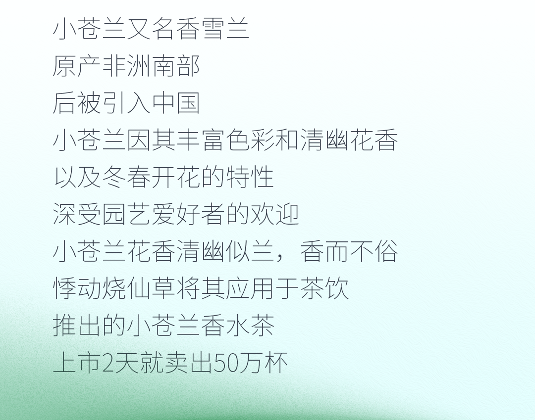 小蒼蘭1_03.png