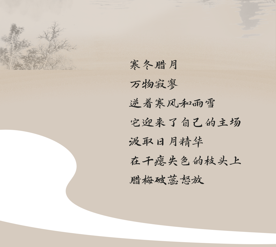 臘梅糖漿_02.png